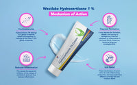 Westlake Maximum Strength Anti-Itch Cream with Soothing Aloe, Hydrocortisone 1% Cream, Itch Relief for Bug Bites, Eczema, Psoriasis, Poison Ivy, Oak and Sumac, 1 oz (Pack of 2)