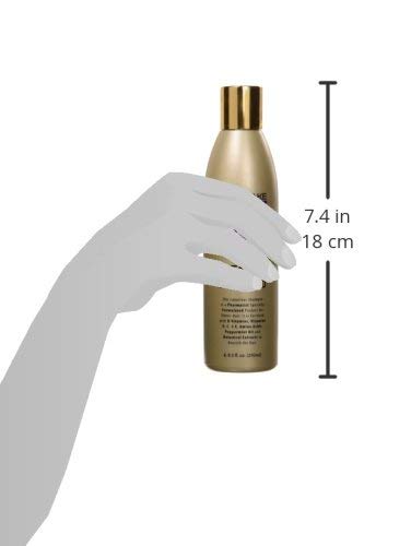 Westlake Vitamin Shampoo - Westlake HB Pharma